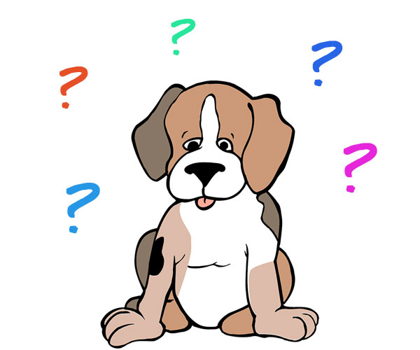 Dog search