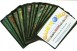 20 Rare Karten der Farbe gr�n
