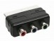 Scartstecker