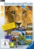 Ravensburger Puzzle 2